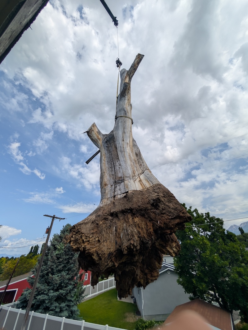 Tree service project near Alpine, UT