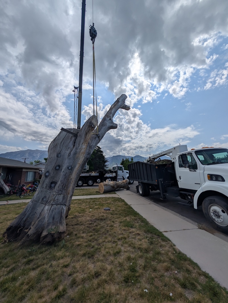 Tree service project near Alpine, UT