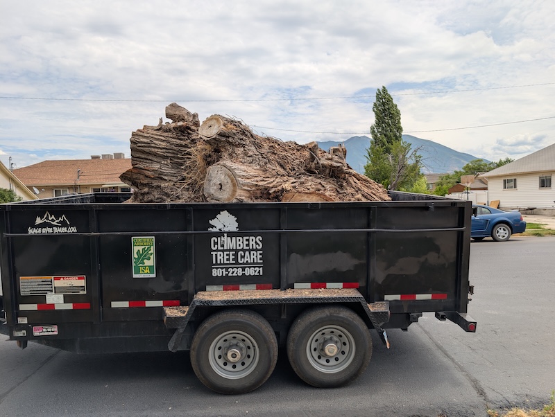 Tree service in Highland, UT