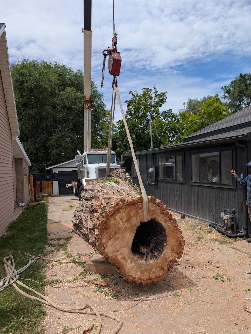 Tree service project near Highland, UT