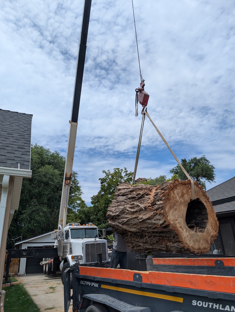 Tree service project near Highland, UT