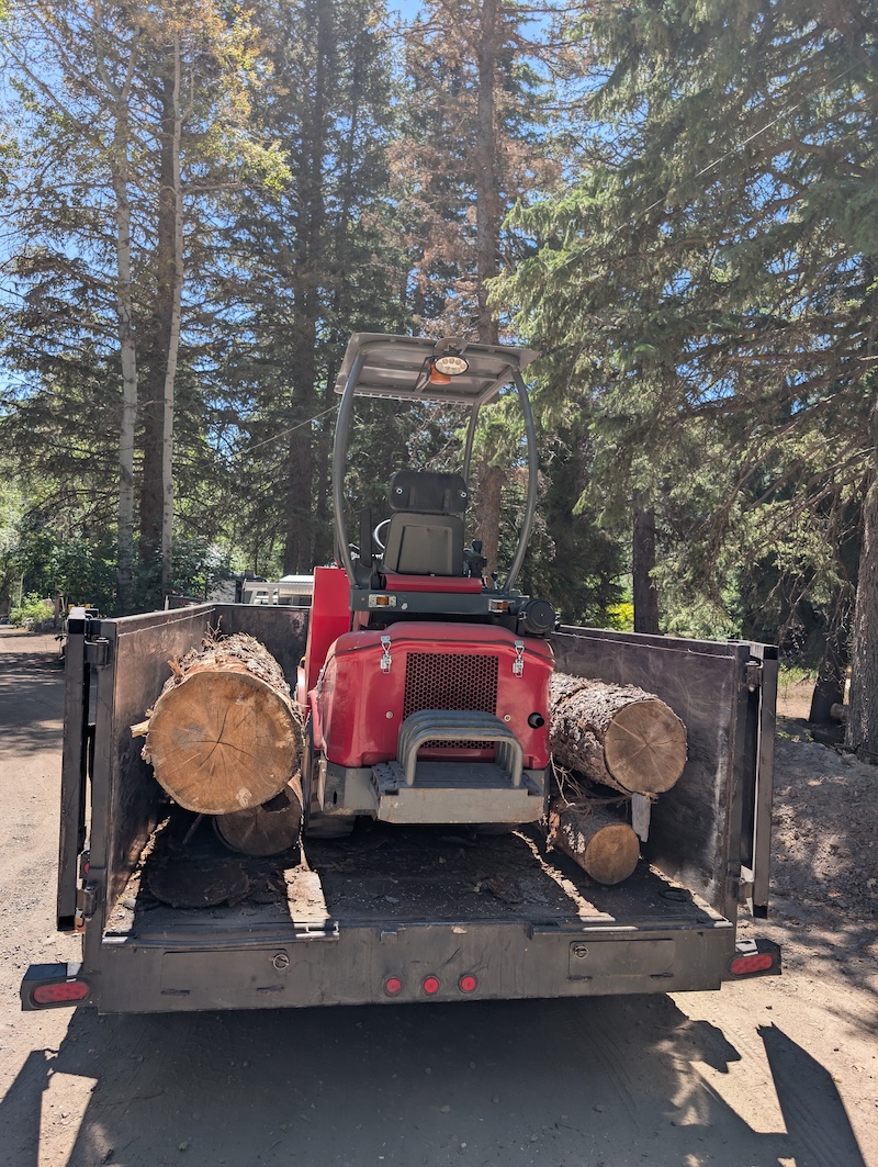Tree service in Alpine, UT