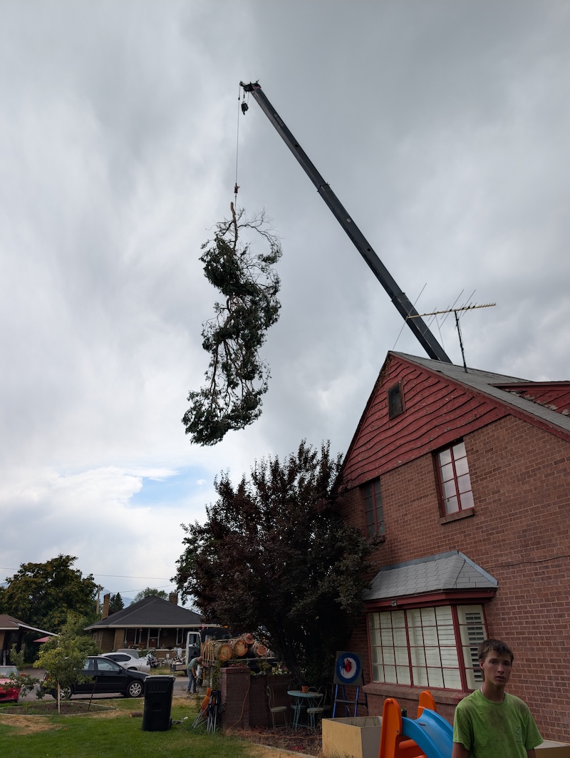 Tree service project near Lehi, UT