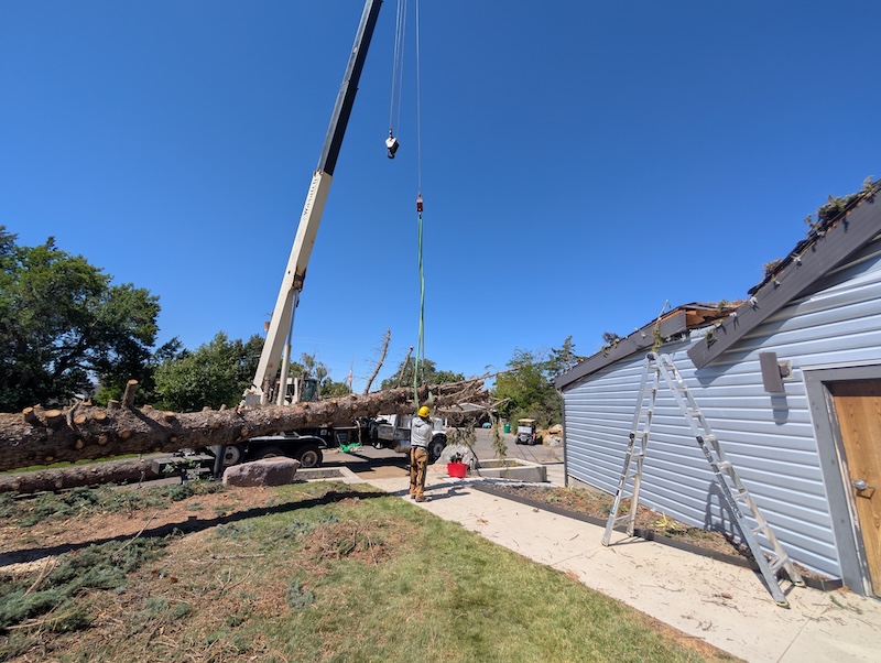 Tree service in Pleasant Grove, UT