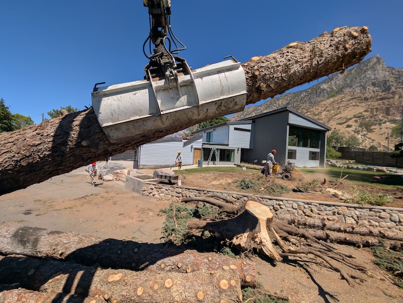 Tree service project near Pleasant Grove, UT