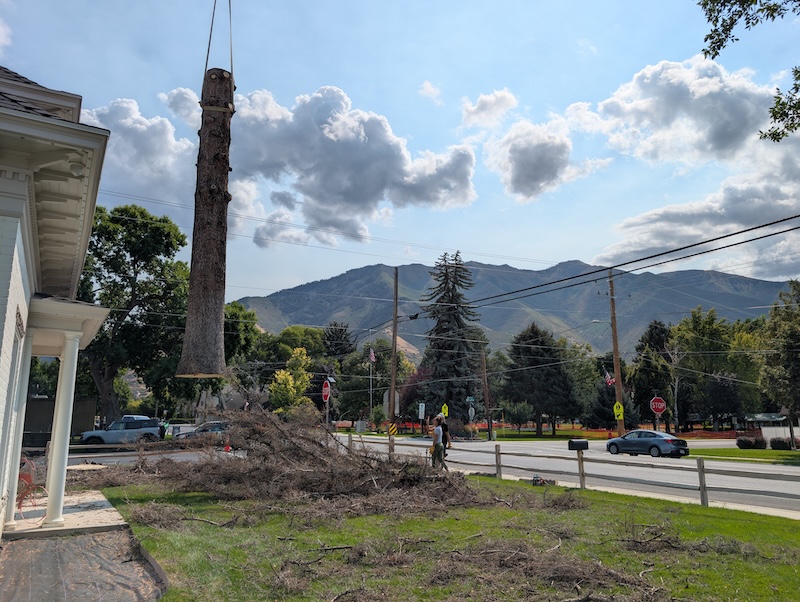 Tree service project near Orem, UT