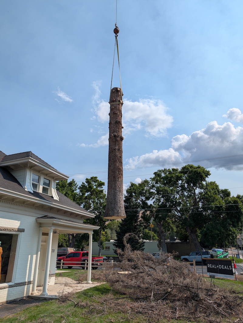 Tree service project near Orem, UT