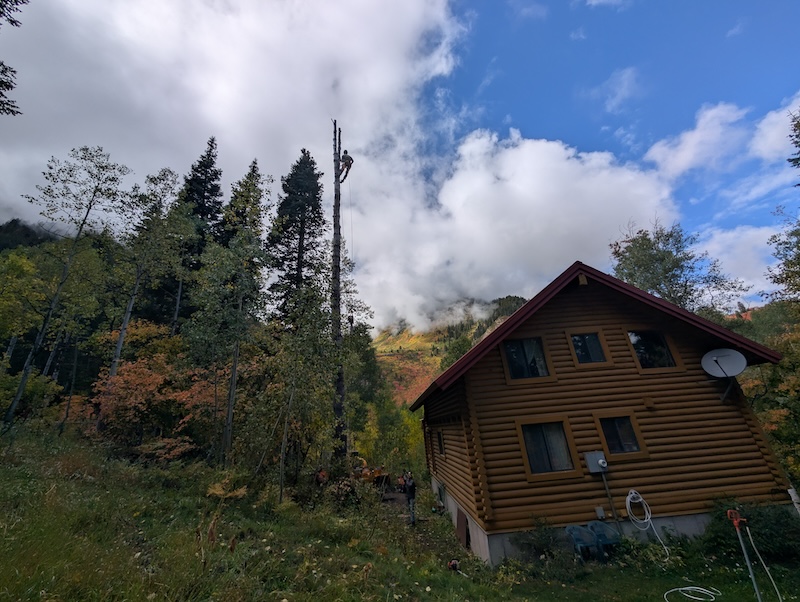 Tree service project near Provo, UT