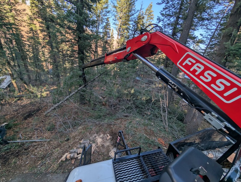 Tree service project near Saratoga Springs, UT