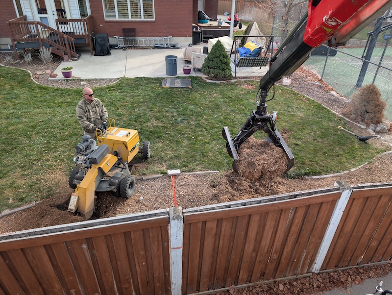 Tree service in Eagle Mountain, UT by Climbers Tree Care