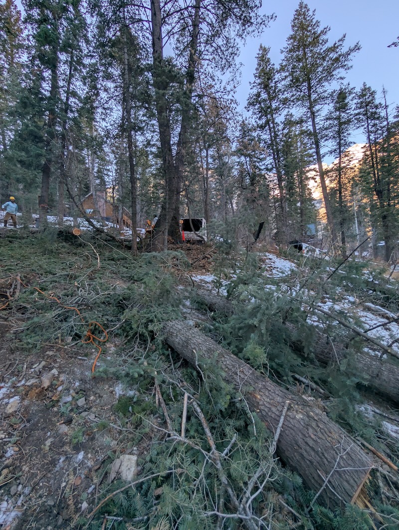 Tree service in Spanish Fork, UT