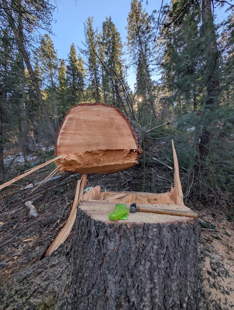Tree service project near Spanish Fork, UT