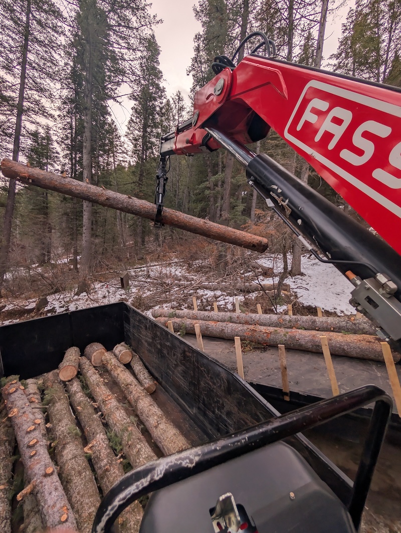Tree service project near Spanish Fork, UT