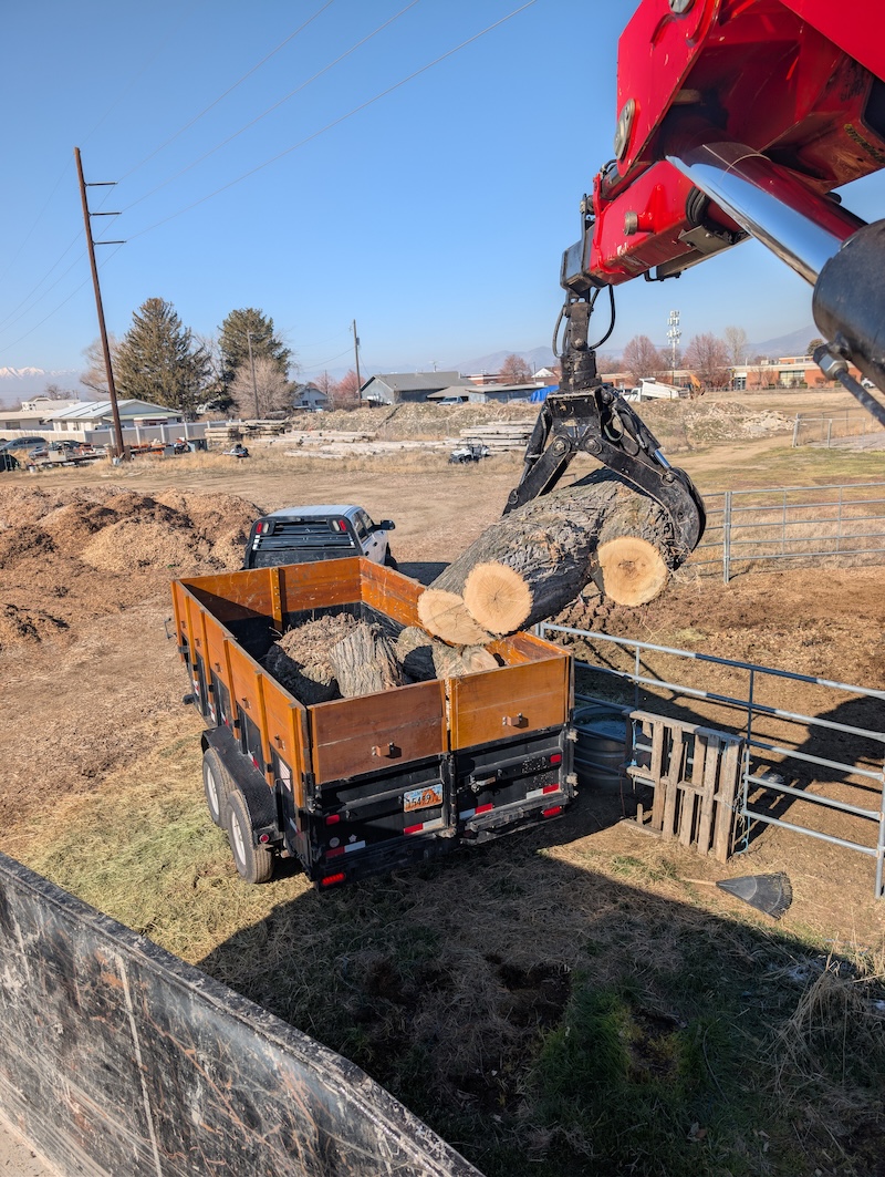 Tree service in Lindon, UT by Climbers Tree Care