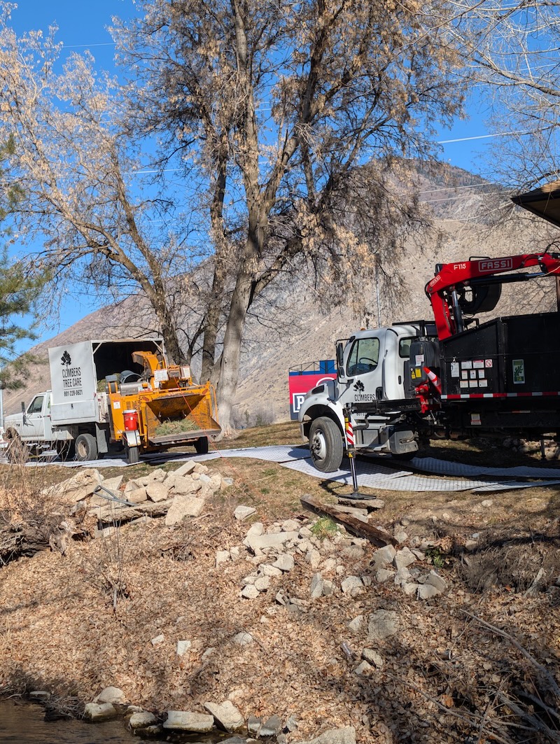 Two Climbers Tree Care branded trucks on a job site with Wasatch mountains in the background