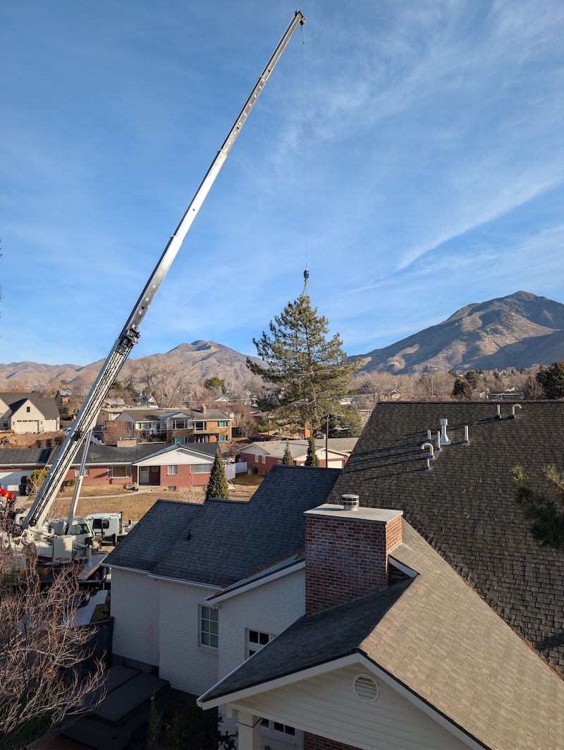 Climbers Tree Care crew on job site