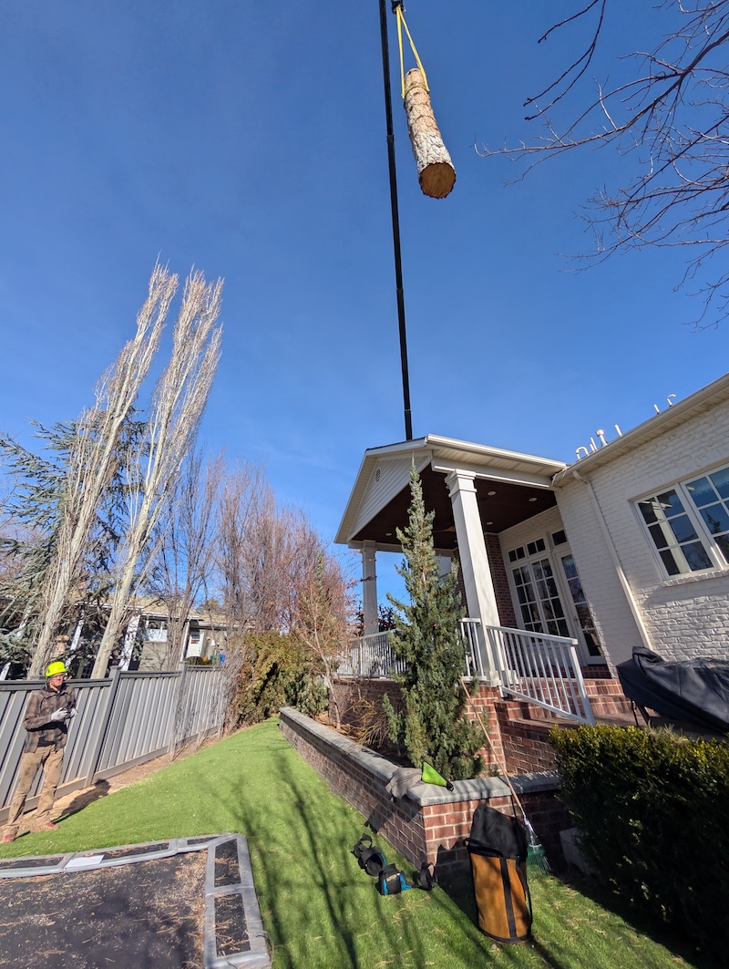 Overhead view of full dump trailer loaded with logs
