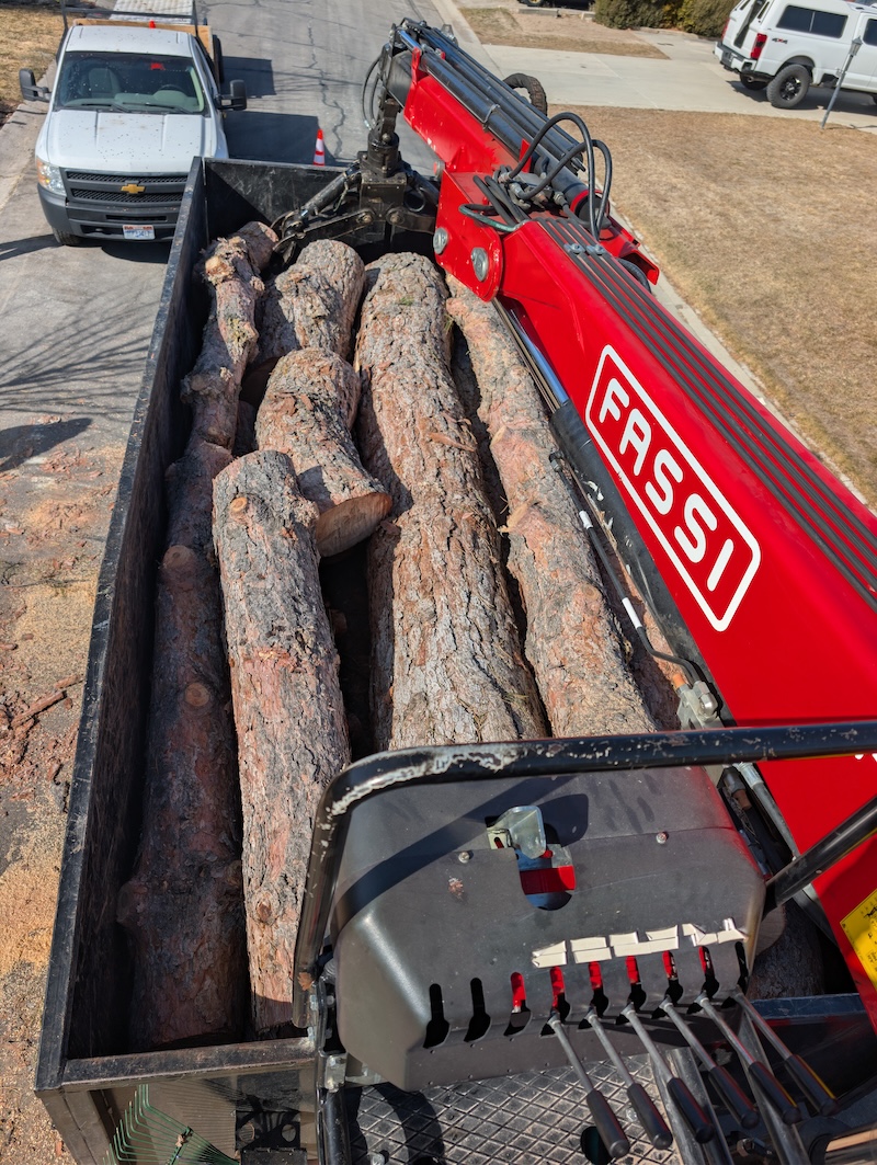Professional tree equipment setup
