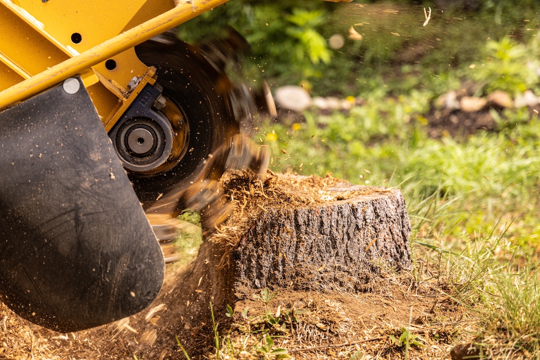 Stump Grinding